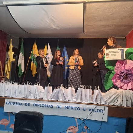 Cerimonia De Entrega De Diplomas De Merito 5
