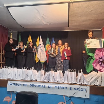 Cerimonia De Entrega De Diplomas De Merito 4