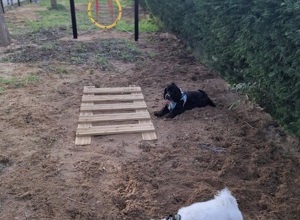 Inauguracao Do Segundo Parque Canino 1