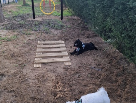 Inauguracao Do Segundo Parque Canino 1