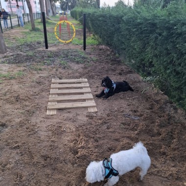 Inauguracao Do Segundo Parque Canino 1