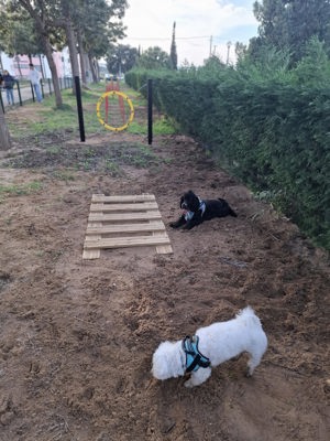 Inauguracao Do Segundo Parque Canino 1