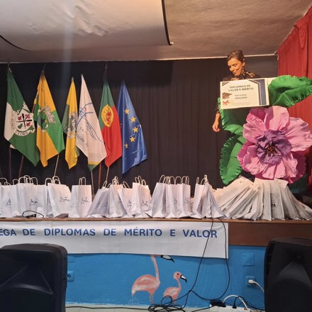 Cerimonia De Entrega De Diplomas De Merito 12