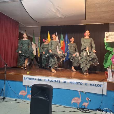 Cerimonia De Entrega De Diplomas De Merito 2