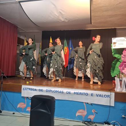 Cerimonia De Entrega De Diplomas De Merito 3