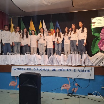 Cerimonia De Entrega De Diplomas De Merito 7