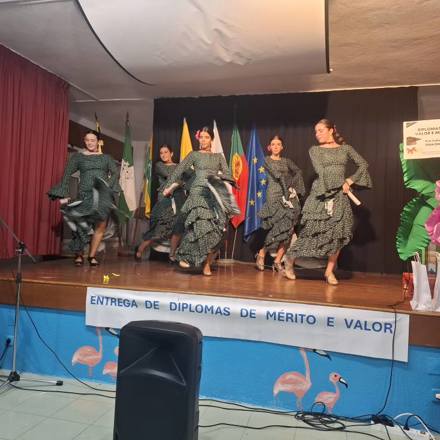 Cerimonia De Entrega De Diplomas De Merito 1