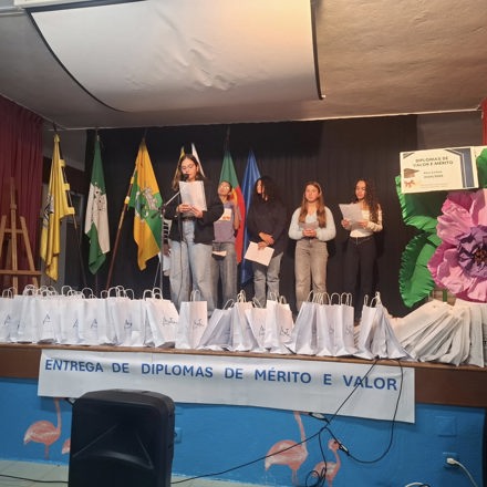 Cerimonia De Entrega De Diplomas De Merito 6